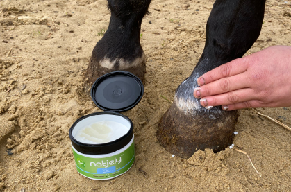 Reducing the number of ticks on horses